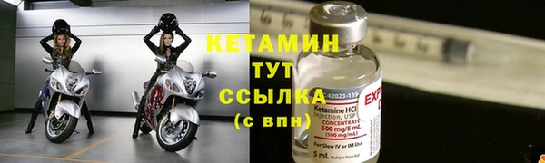 сатива Каменногорск