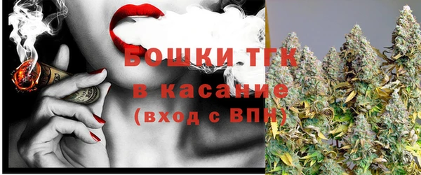 сатива Каменногорск