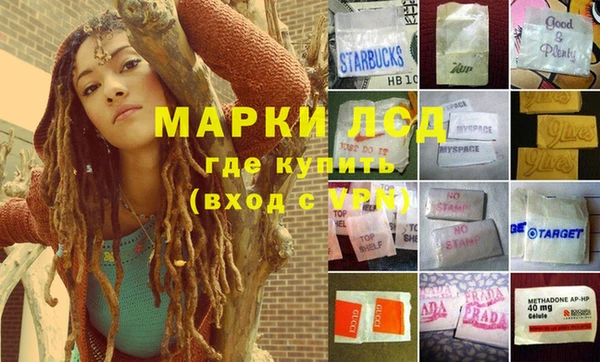 сатива Каменногорск