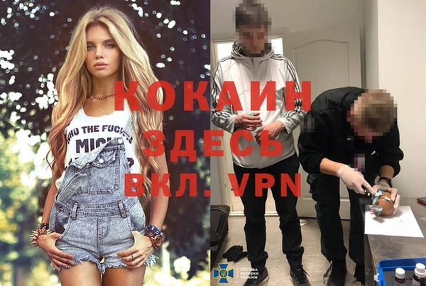 сатива Каменногорск