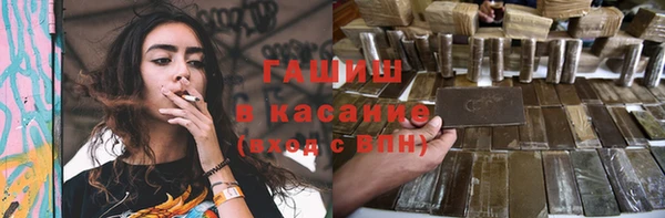 сатива Каменногорск