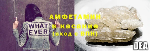 сатива Каменногорск