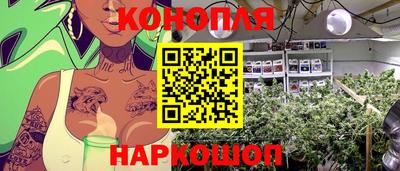 стаф Волжский