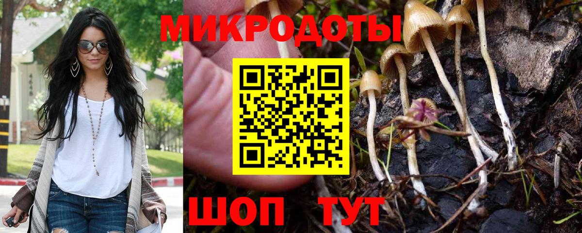 Кингисепп  Псилоцибиновые грибы мицелий  Псилоцибиновые грибы GOLDEN TEACHER  Вход с VPN 