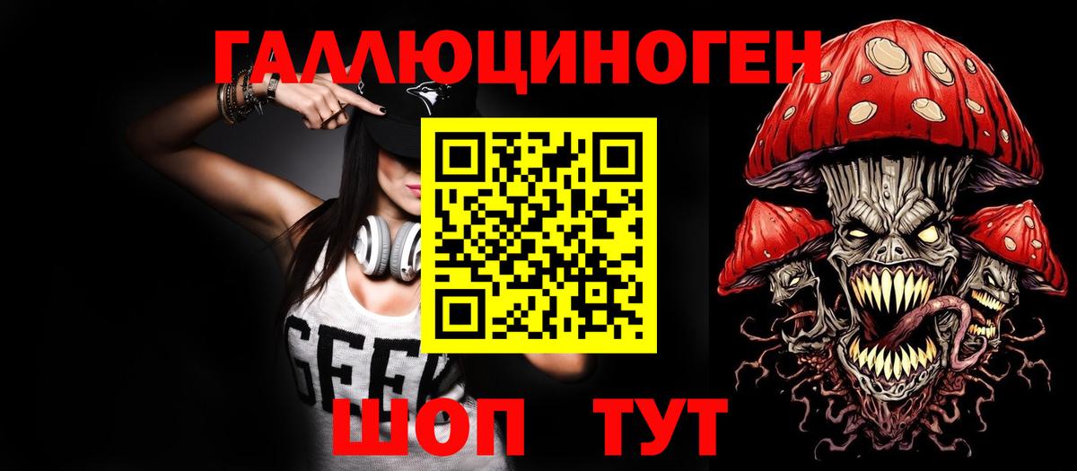 Псилоцибиновые грибы мухоморы Кингисепп