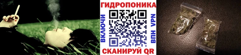 Марихуана OG Kush  кракен зеркало  Кингисепп  shop формула  сколько стоит 