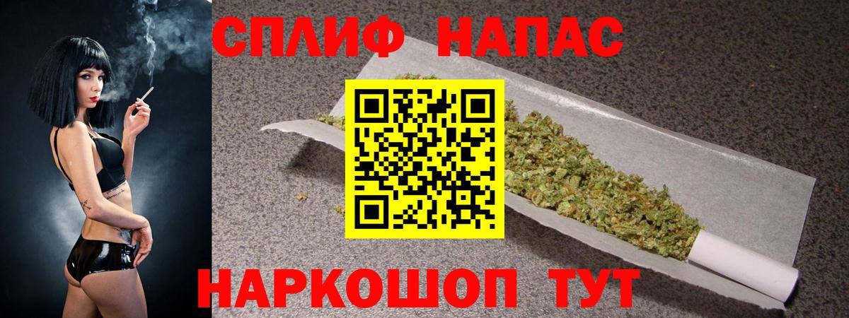 Марихуана конопля Кингисепп